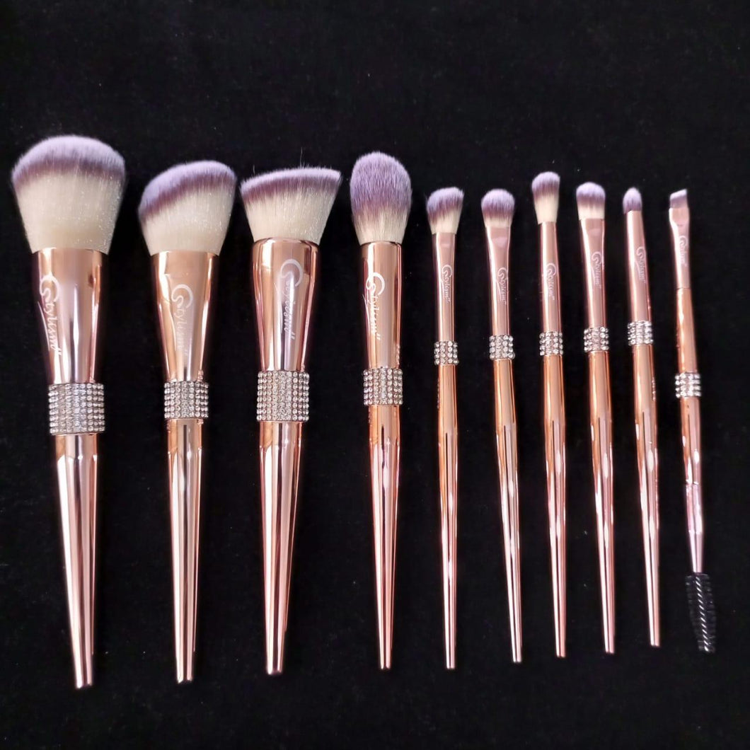 Rouge Pink Brush Set (10 piece brush collection with bag)