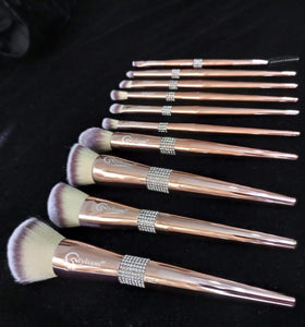Rouge Pink Brush Set (10 piece brush collection with bag)